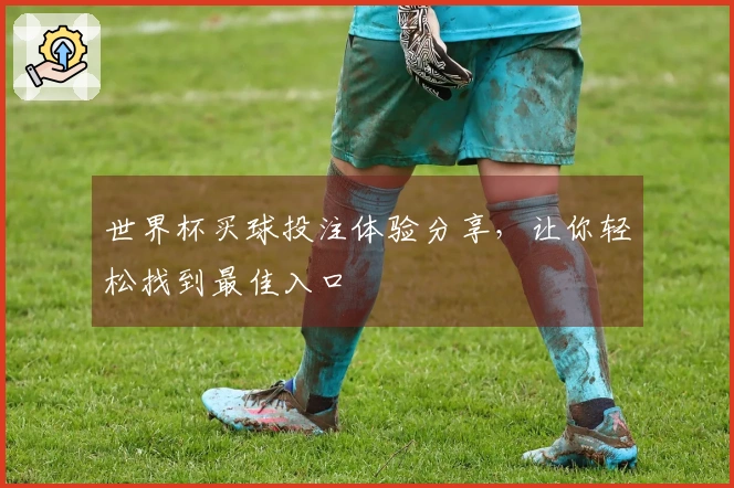 世界杯买球投注体验分享，让你轻松找到最佳入口