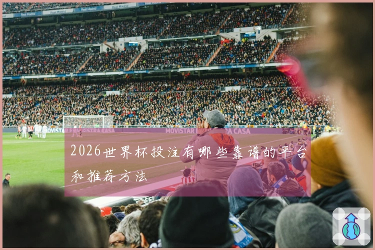 2026世界杯投注有哪些靠谱的平台和推荐方法
