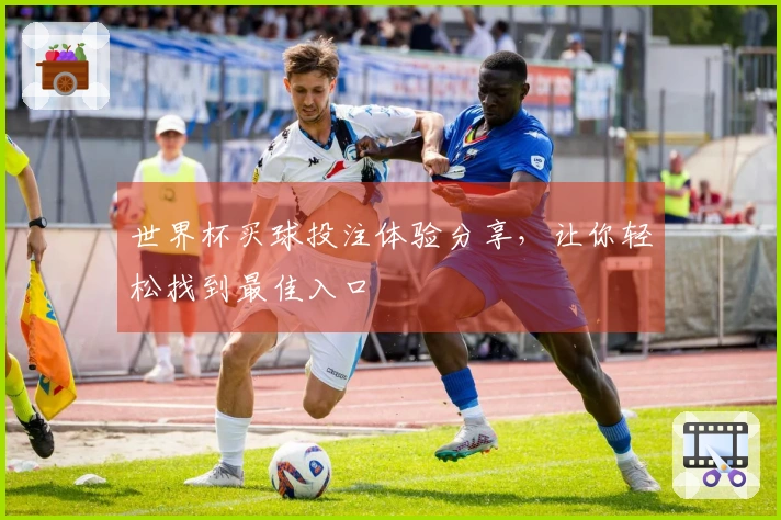 世界杯买球投注体验分享，让你轻松找到最佳入口
