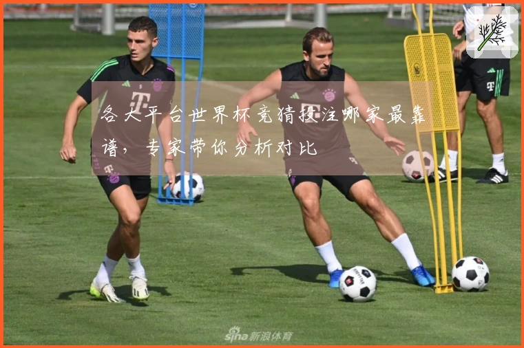 各大平台世界杯竞猜投注哪家最靠谱，专家带你分析对比