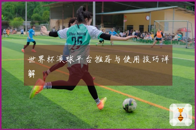 世界杯滚球平台推荐与使用技巧详解