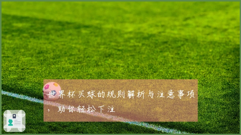 世界杯买球的规则解析与注意事项，助你轻松下注
